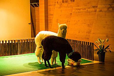 《地平线：黎明时分》PS5补丁测试 全程稳定60帧